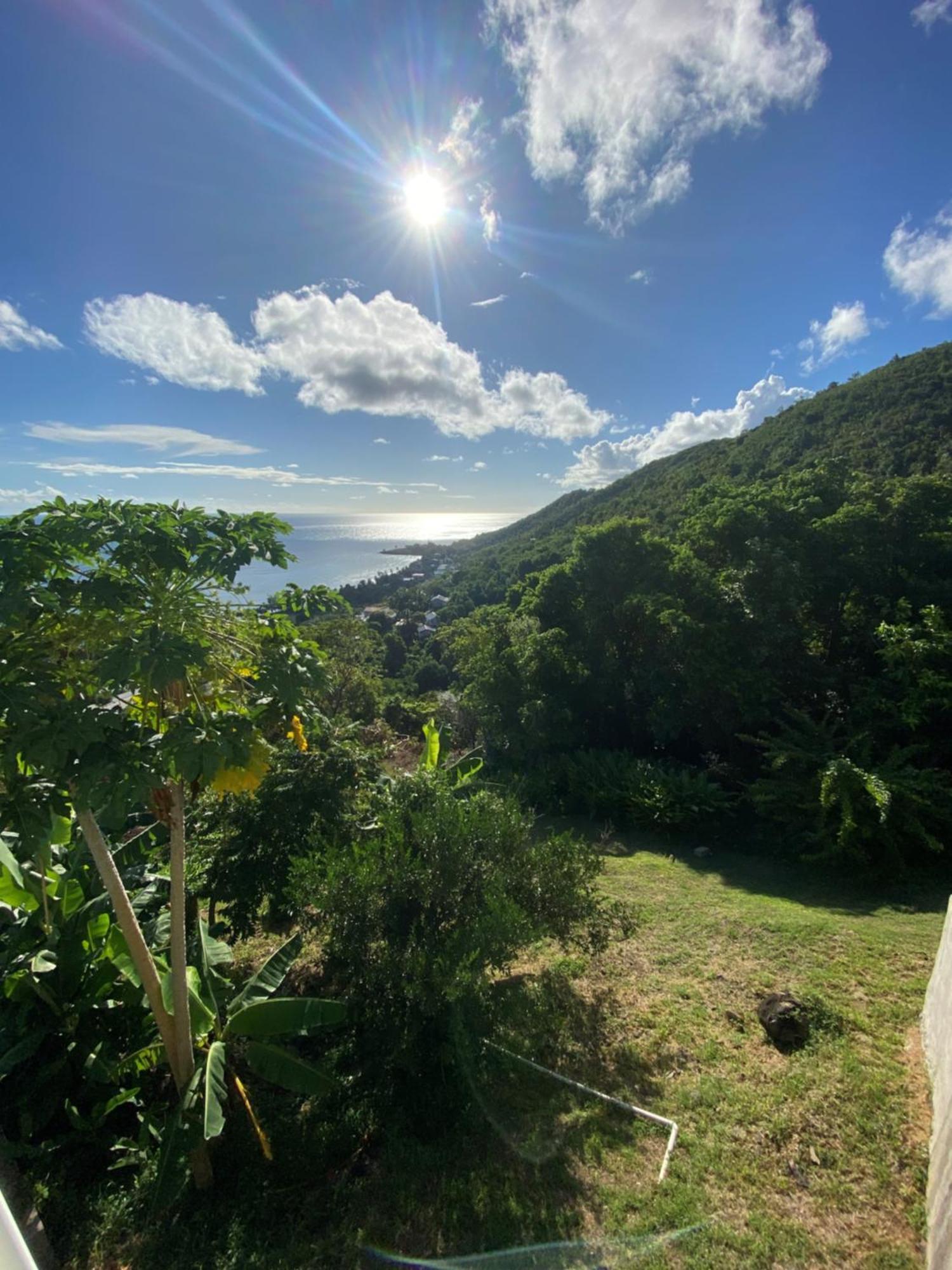 Greenhouse On The Hill, Sea View Studio Apartment Laborie Exteriér fotografie
